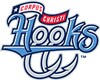 MiLB Hooks